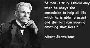 Why Albert Schweitzer Matters